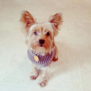 Meet your Posher, Jet00661